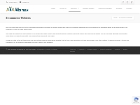 The Web Team | E-commerce Websites