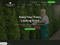 Expert Tree Maintenance | Eli Timberland Tree Service LLC