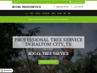 Need a Professional Tree Service in Haltom City, TX?