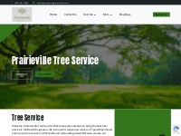Tree Service Prairieville, LA | (225) 307-3645