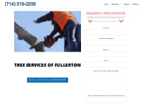 Fullerton Pro Tree Services, Tree Trimming, Removal, More