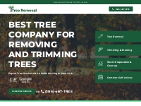Tree and stump removal services of Flagler county, Florida, provide a 