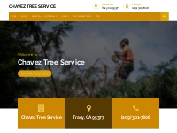 A Top-Quality Tree Service in Tracy, CA, 95377