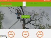 Superb Tree Removal Services in Waterford, ME, 04088