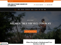Reliable Tree Service in Brockton MA | (508) 258-4042
