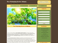 Tree Trimming Service Atlanta|Tree Removal Services Atlanta|Tree Servi