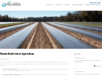 Vanden Bussche Irrigation & Equipment Ltd. : News : Plastic Mulch Use 