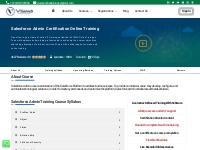 Salesforce Admin Certification Online Training - VISWA