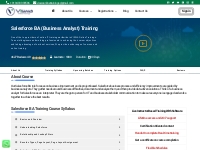 Salesforce BA Online Training | Salesforce Business Analyst