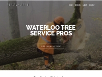 Waterloo Tree Service Pros - Tree Trimming, Removal (free quotes)