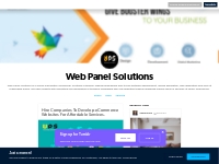 Web Panel Solutions -- Hire Companies To Develop eCommerce Websites Fo