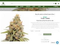 Buy Strawberry Kush Seeds Online - Fresh And Healthy