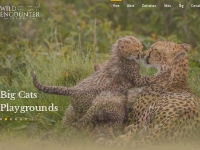 African safari trips ★ Wildlife photography tours | Wild Encounter Saf