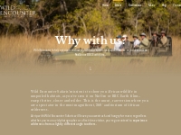 Wildlife photography safari | Why with us? | Wild Encounter Safaris