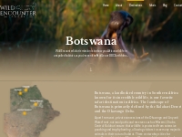 Botswana safari tours ★ Check out our offer | Wild Encounter Safaris