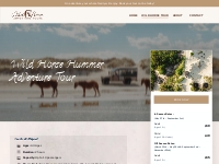        Outer Banks Wild Horse Hummer Tours | Wild Horse Adventure Tour