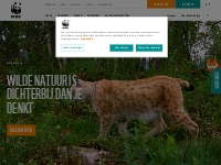 WWF-België: in actie tegen het verlies aan biodiversiteit