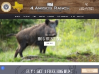 4 Amigos Ranch Hunting Lodge in TX | Hogs, Rams, Whitetail & More!