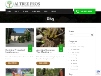 Blog - A1 Tree Pros