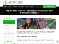 Tree Removal Services in Hagerstown   Frederick Near Me, MD