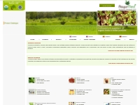 Certified Organic Herbs - Certified Organic Herbs Supplier,      Certi