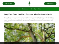            Keeping Your Trees Healthy » Tips from a Professional Arbor