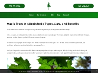            Maple Trees  around Abbotsford, BC » Types, Care, and Benef