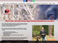            Kent dog training, puppy training, dog behaviourist