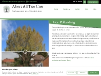 Tree Pollarding - Tree Surgeon Services
