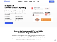 Magento Development Agency | Miami, FL | Absolute Web
