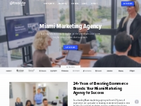 Marketing Agency | Absolute Web | Miami | Los Angeles
