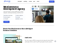 WooCommerce Development Experts | Absolute Web