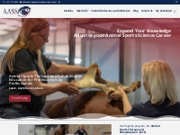 Training in Animal Rehabilitation | Training in Equine Rehabilitation