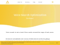 Best Voice Search Optimization Service - India | OK Google Voice Searc