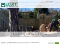 Tree Felling and Stump Removal - Acorn Tree Specialist