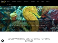 Top Dive Resort, your Gateway to Extraordinary Diving in Koh Lipe