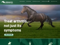   	Treatment for arthritis in horses | Adequan® i.m. (polysulfated gly