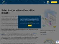 What is S OE: Sales and Operations Execution | Adexa