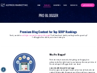 PRO BLOGGER - Web Design, SEO   More | AdPros Marketing