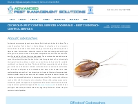 Cockroach Pest Control Services Hyderabad | Advanced Pest Controls