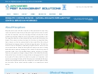 Mosquito Control Services - Mosquito Killer Pest Control Services in H