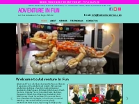 Adventure in Fun - Balloon Decorations, Balloon Animals, Balloon Twist