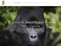 4 Days Gorilla Trekking Safari in Bwindi National Park - Bespoke Safar