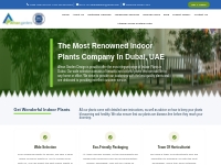 Best Range of High Quality Indoor Plants in Dubai