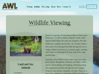 Alaskan Wildlife | Guided Adventures   Afognak Wilderness Lodge