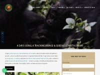 4 days Gorilla tracking Bwindi   Queen Elizabeth National Park