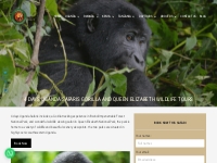 4 days Uganda Safaris Gorilla tracking   Queen Elizabeth Wildlife