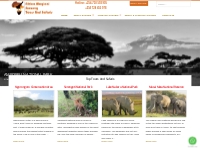 Africa Magical tours and safaris-Heart of Africa's Adventures