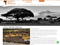 3 Days incredible safari Maasai mara