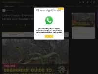 Online Course - Beginners  Guide to Snake Identification (Southern Afr